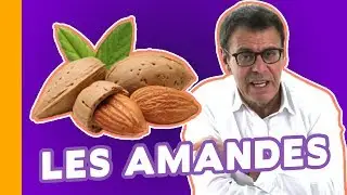 Les Amandes Sont-Elles Vraiment un Aliment Miracle ? Jean-Michel Cohen