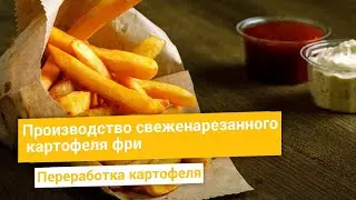 Бельгийское производство картофеля фри для поставок в кафе и рестораны