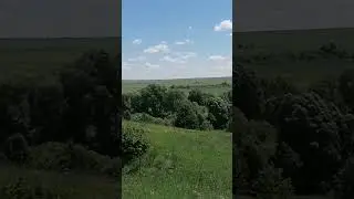 #деревня #курск #природа #находки #животные #коп #nature #матушказемля