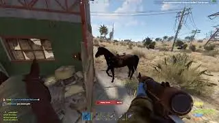 СБИЛИ ЛОШАДЬ В РАСТ/RUST