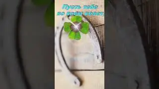 с днем рождения Алексей