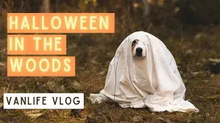 Happy Halloween! | Donuts & Cider Over a Campfire & Spooky-Puppy Photoshoot!