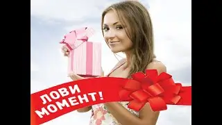 Анонс обзора спутников за тармалунские слитки. Приз угадавшему самого сильного) Neverwinter online.