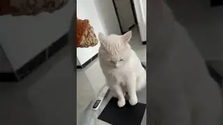 Ты мой круассанчик будешь ? 