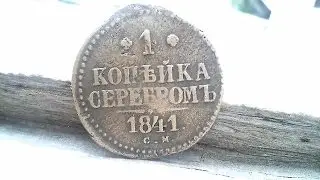 Пара монет в поле . Октябрь 2016