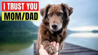 10 Signs Your Dog Really Trusts You