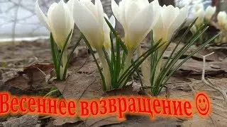 Весеннее возвращение