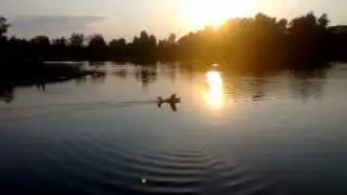 RC модель самолета ЛА 8 