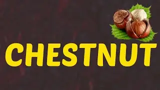 What Does CHESTNUT Means || Meanings And Definitions With Example in ENGLISH