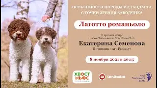 Лаготто романьоло / Екатерина Семенова. Питомник Art-Fantasy