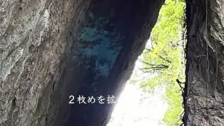 沖縄の斎場御嶽で変な写真が撮れたΩ＼ζ°)ﾁｰﾝ