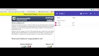Iniciar chrome con extension - Selenium webdriver