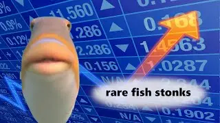 POV: You Invested In Rare Fish
