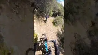 Overgrown singletrack exploration in California  #mtb #mountainbike #pov