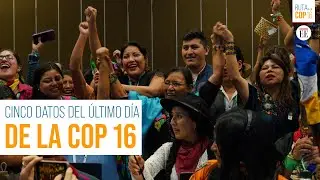 COP16: cinco datos del último día de la cumbre | El Espectador