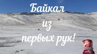 Поездка #хаски Ивиты на #Байкал!