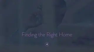 Finding the Right Home