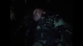 Плакучая ива