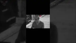 Real Vampires Caught on Camera? 🧛🏾‍♂️🦇 