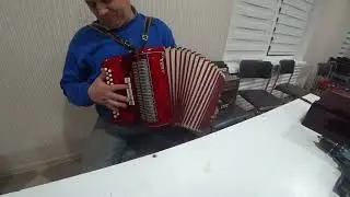 Гармошка Итальянская Адриа