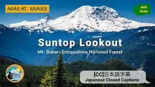 Mt Rainier View | Suntop Lookout – Winter Route hike 11 miles near Enumclaw, Washington