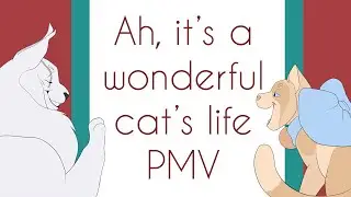 Ah, it's a wonderful cat's life | PMV [VALENTINES DAY]