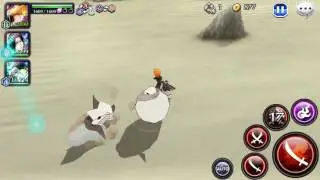 Expert 5 * Speed Ichigo raid   Solo