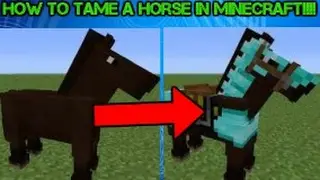 Minecraft Tutorial: How to TAME a Horse/Mule/Donkey  in Minecraft!!!!/Secret revealed +Scene!!!!