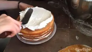 Tiramisu cake