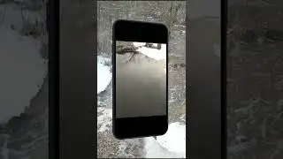 Spring in Belarus 🤗