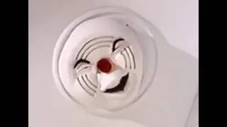 Fire Alarm