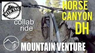 MTB | Horse Canyon collab ride with MTBing Adventures | MOUNTAIN VENTURE