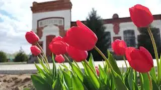 Хан Ордасы