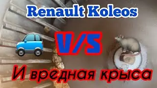 Renault Koleos heater fan removal. Air duct cleaning. Don't park near a dumpster.