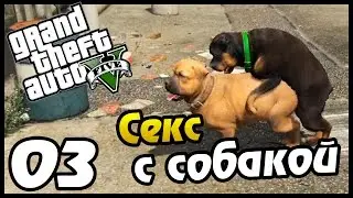 GTA 5 PS4 ПРОХОЖДЕНИЕ - 03 - СЕКС С СОБАКОЙ