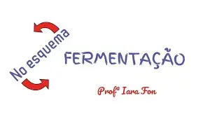 Fermentação