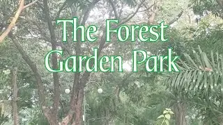 THE BEST FOREST GARDEN PARK//  with sound of bird 🐦🐦