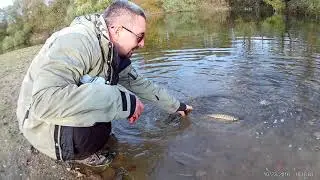 Pustanje stuke - C&R Karas Straza