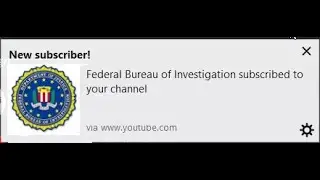 The FBI launched an investigation on my channel.