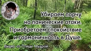 Как убрать порчу на панические атаки. Как приобрести спокойствие и гармоничность в Душе.