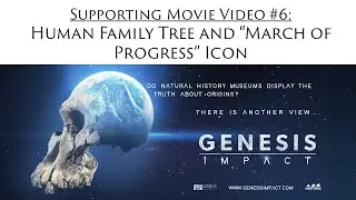 Human Evolution Tree and March of Progress