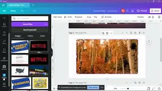 How to embed video from Youtube to canva I 3 ways to add video to canva 2021 I