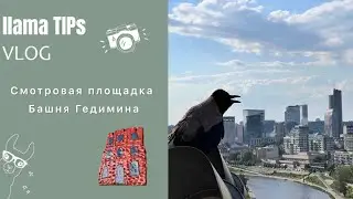 Смотровые площадки Вильнюса: Башня Гедимина