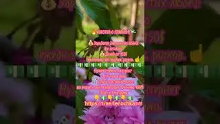 #богатство_и_достаток