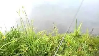 bass fishing with a zoom finesse worm part 1