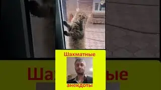 Шахматный анекдот. Странный размен в партии! 