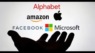Largest Companies by Market Cap
