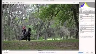 Photo Tip ~ Photo Processing RAW vs JPG