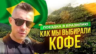 БРАЗИЛИЯ: Кооперативы и корпоративы, ПЛАНТАЦИИ И ФЕРМЫ. Поиск ЛУЧШЕГО КОФЕ