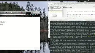NodeRouteBasics Step Three A